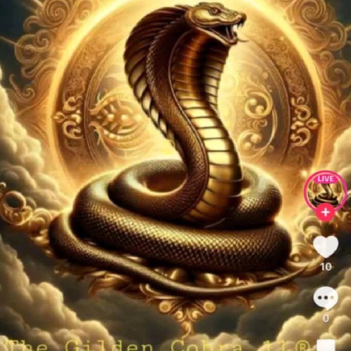 @gupiuser425632