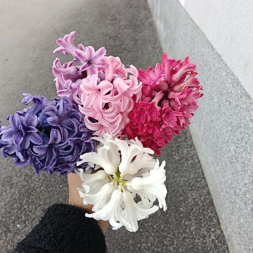 @gupiuser147665