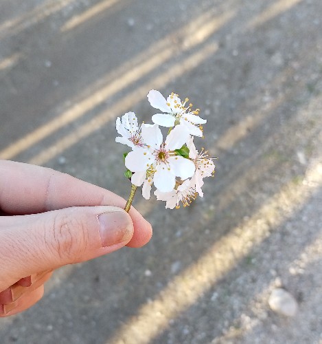 @gupiuser157598