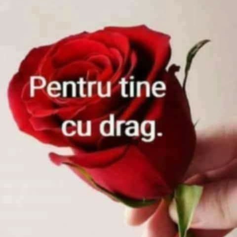 @gupiuser158910