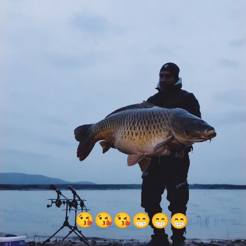 @gupiuser154815