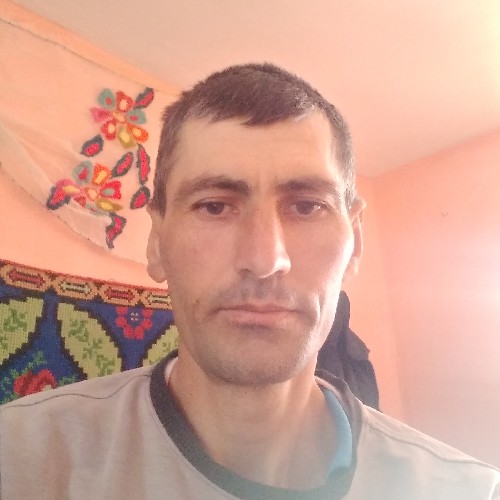 @gupiuser151837
