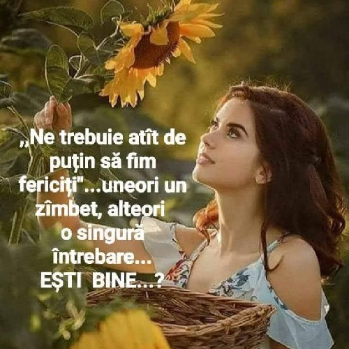 @gupiuser386128