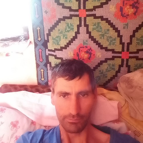 @gupiuser933695