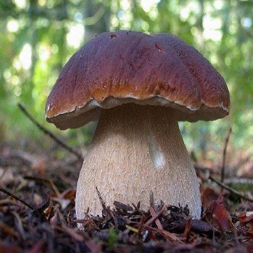@gupiuser945428