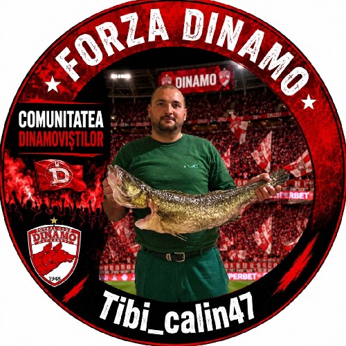 @TibiCalin47
