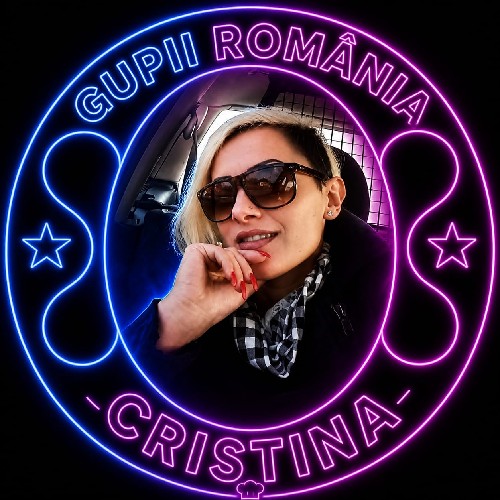 @gupiuser157331