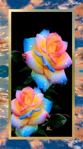 @gupiuser248461
