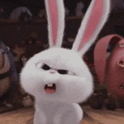 @gupiuser409600
