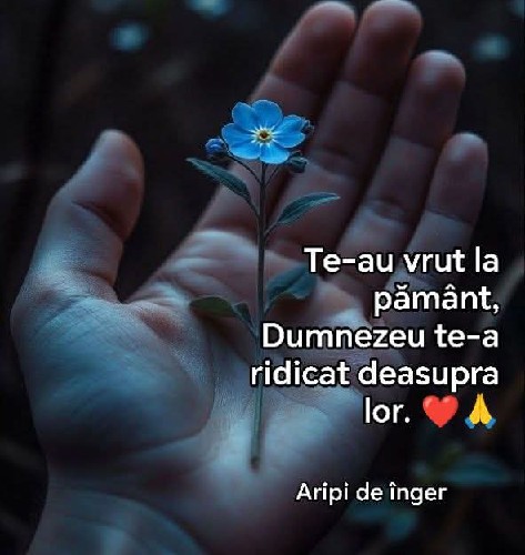 @gupiuser145462
