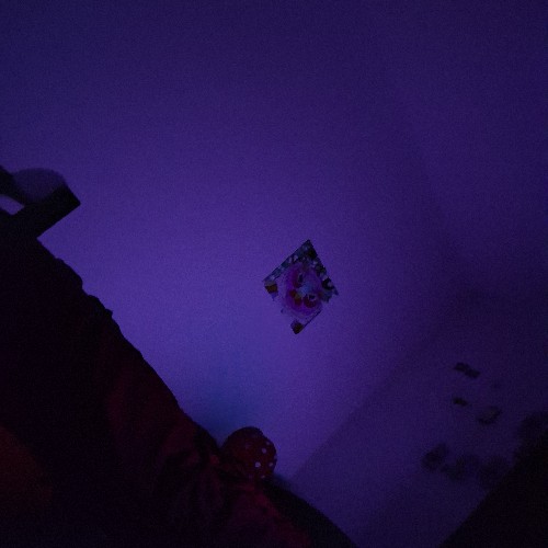 @gupiuser980819