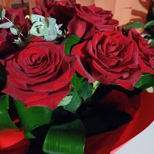 @gupiuser892845