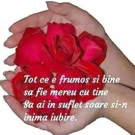 @gupiuser159466