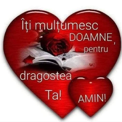 @gupiuser166775