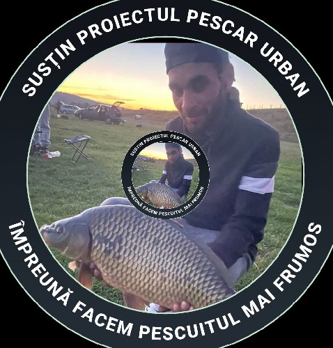 @gupiuser808797