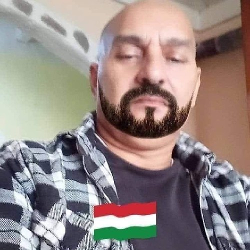 @gupiuser165230