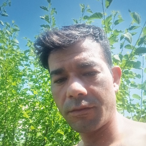 @gupiuser371512