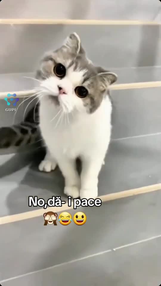 😄