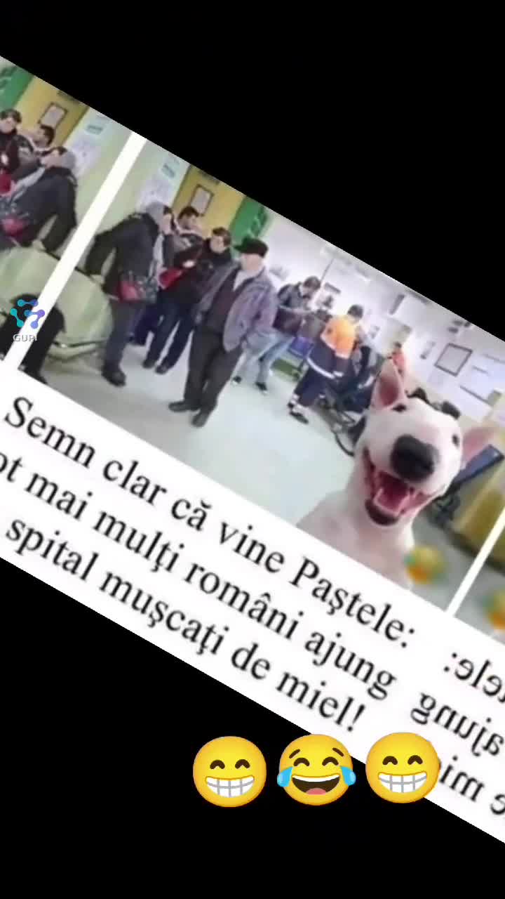 😁😂😂😁
