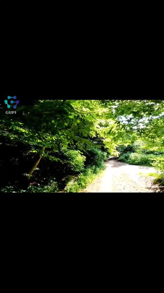 Video de @FLRica06