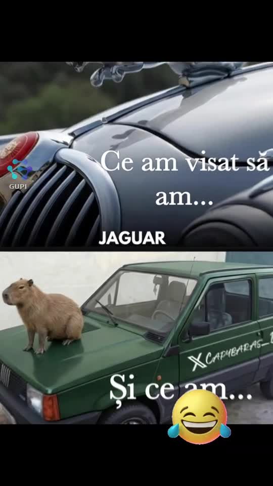 ce am visat să am... și ce am ..😂😂😂