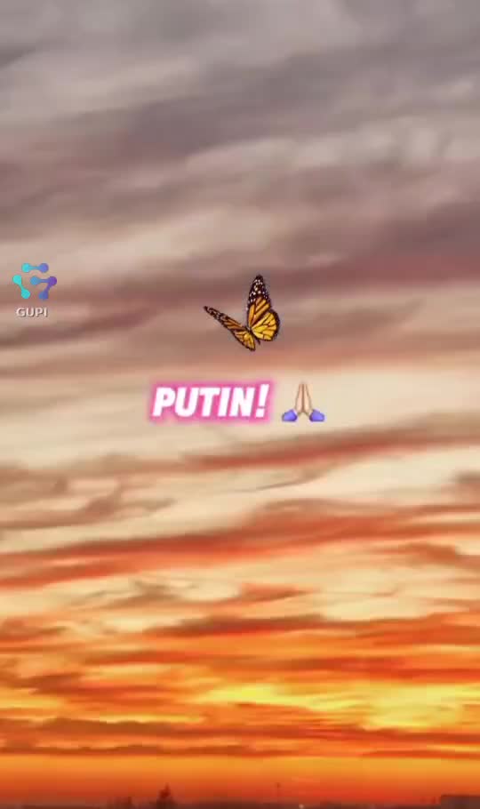 #🦋💙