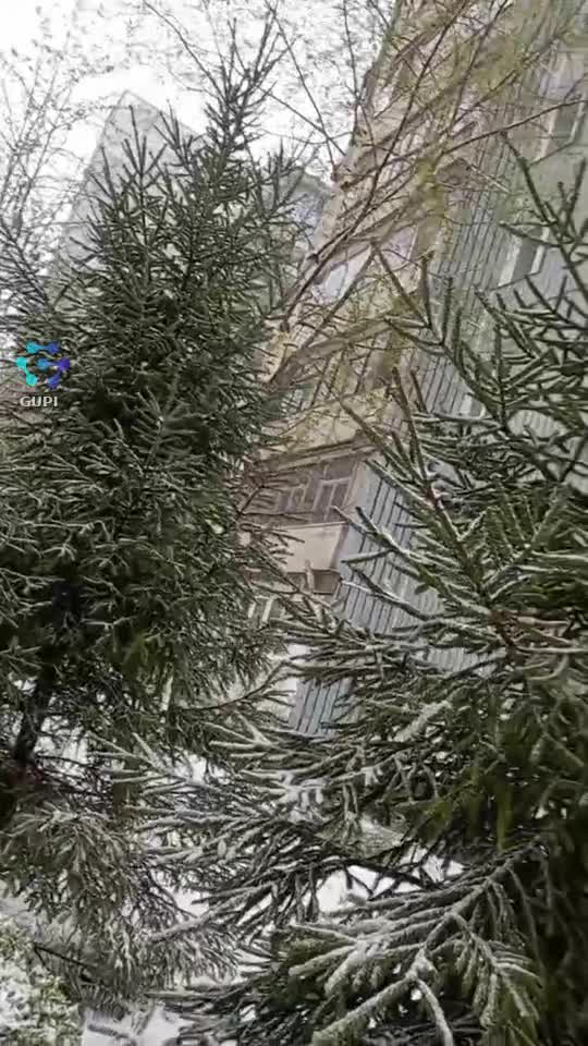 🌨️🌨️🌨️