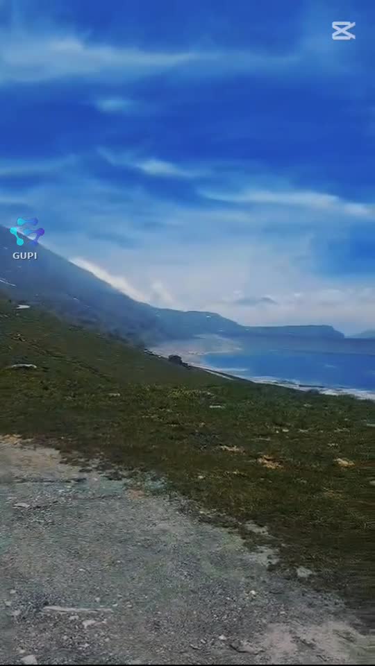 „Cerul, liniștea și gândurile care se pierd printre copaci. 🌲☁️”