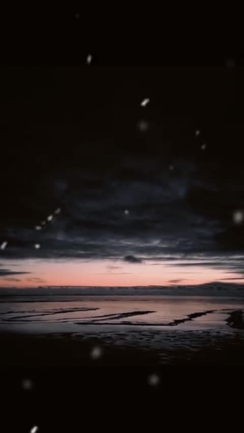 # 🦋
