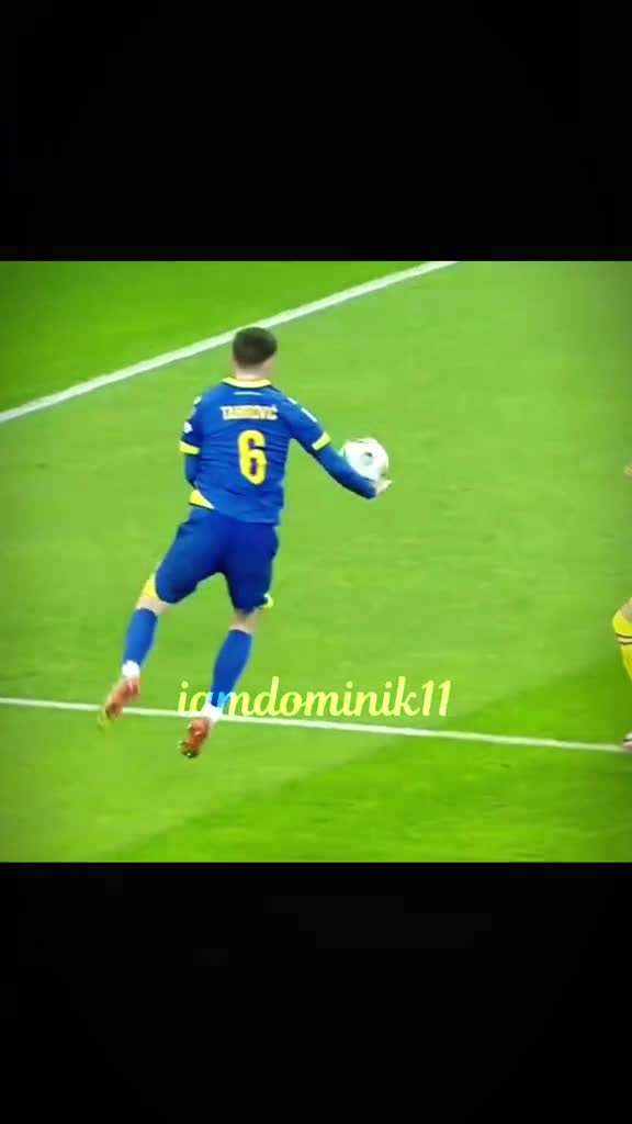 România Vs Bosnia & Herzegovina cea mai mare furăciune