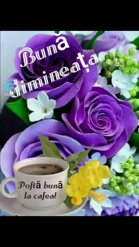 Original Sound - Blonda Cu  Pisi
