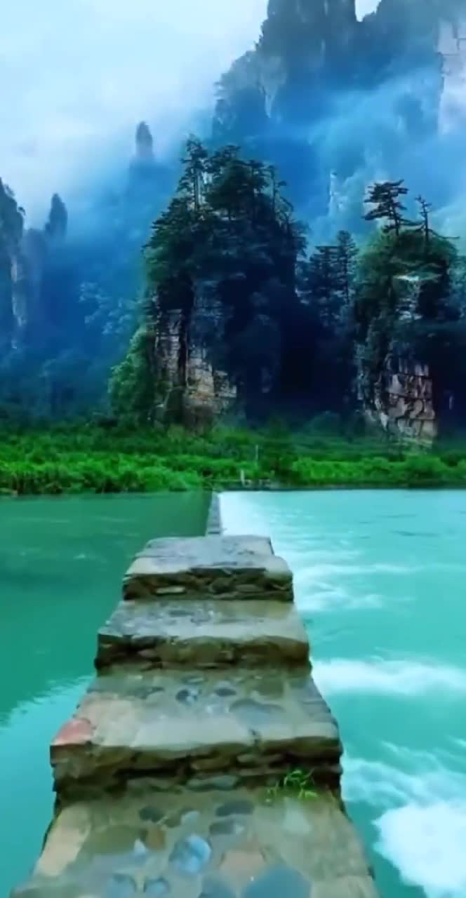 Video