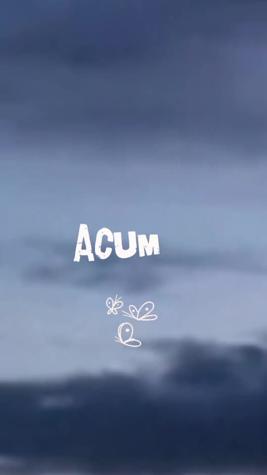 🦋 
 🌊🚢
#❤️💙   🦋 
 #❤️💙