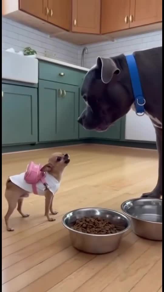 🤣🤣🤣🤣