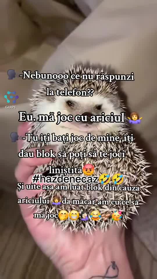 🤣🤣🤣🤣