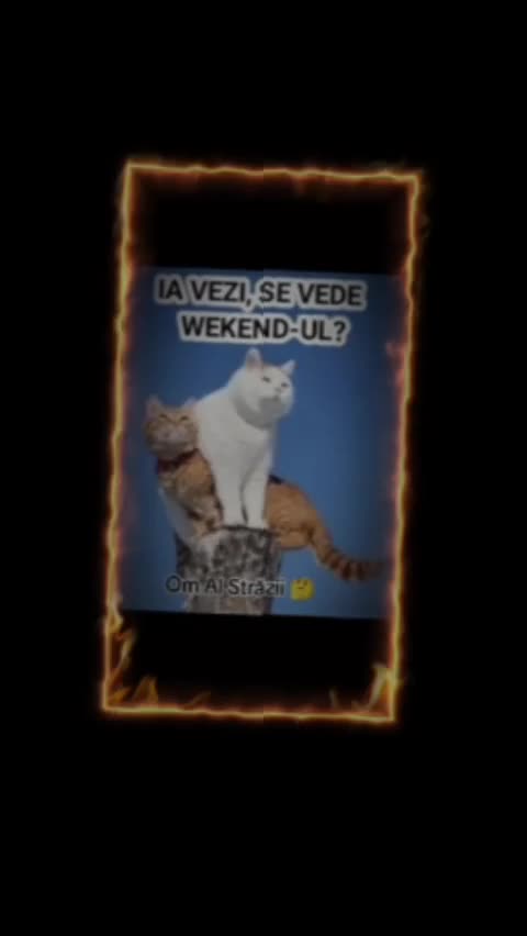 Se vede weekendul??Om Al Străzii (Denys.Roby)👋