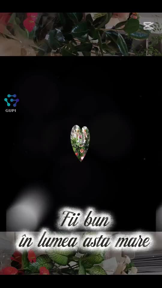 Video de @gupiuser154489