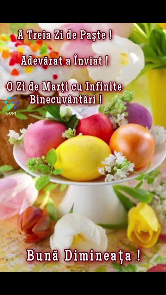 Buna dimineata!!