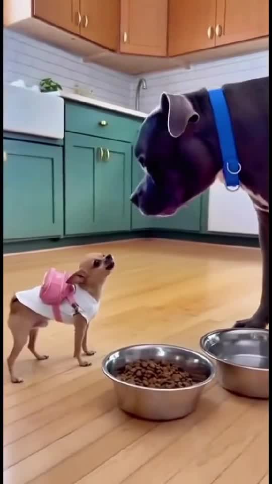 😄