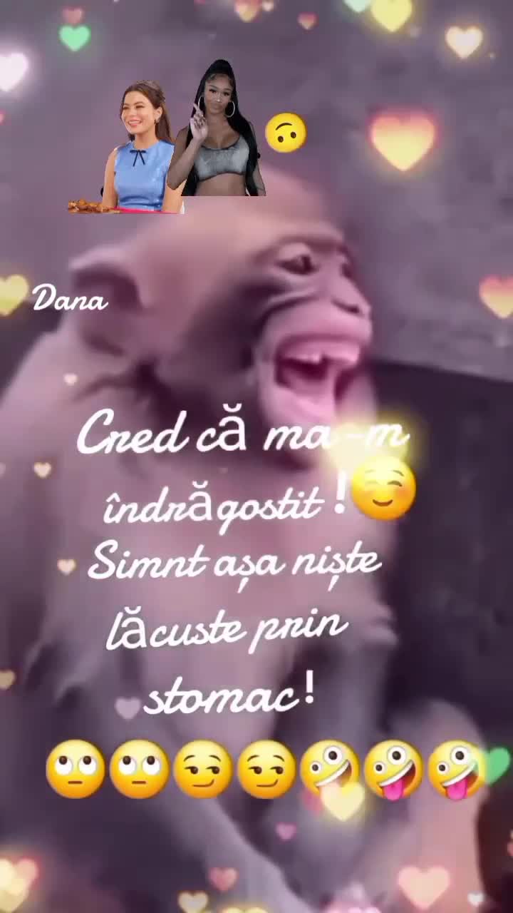 😂😂😂