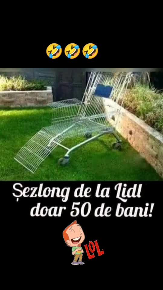🤣🤣🤣