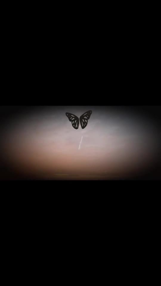 #🦋💙