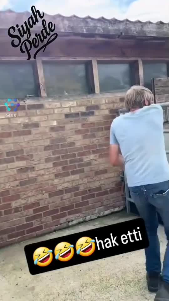 🤣🤣