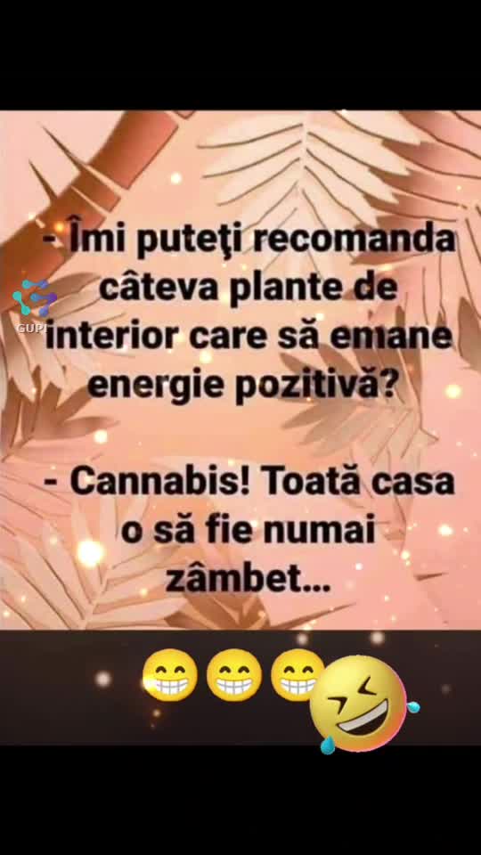 plante terapeutice...😁😁😁