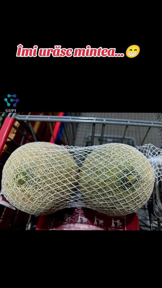 îmi urăsc mintea...😂😂😂