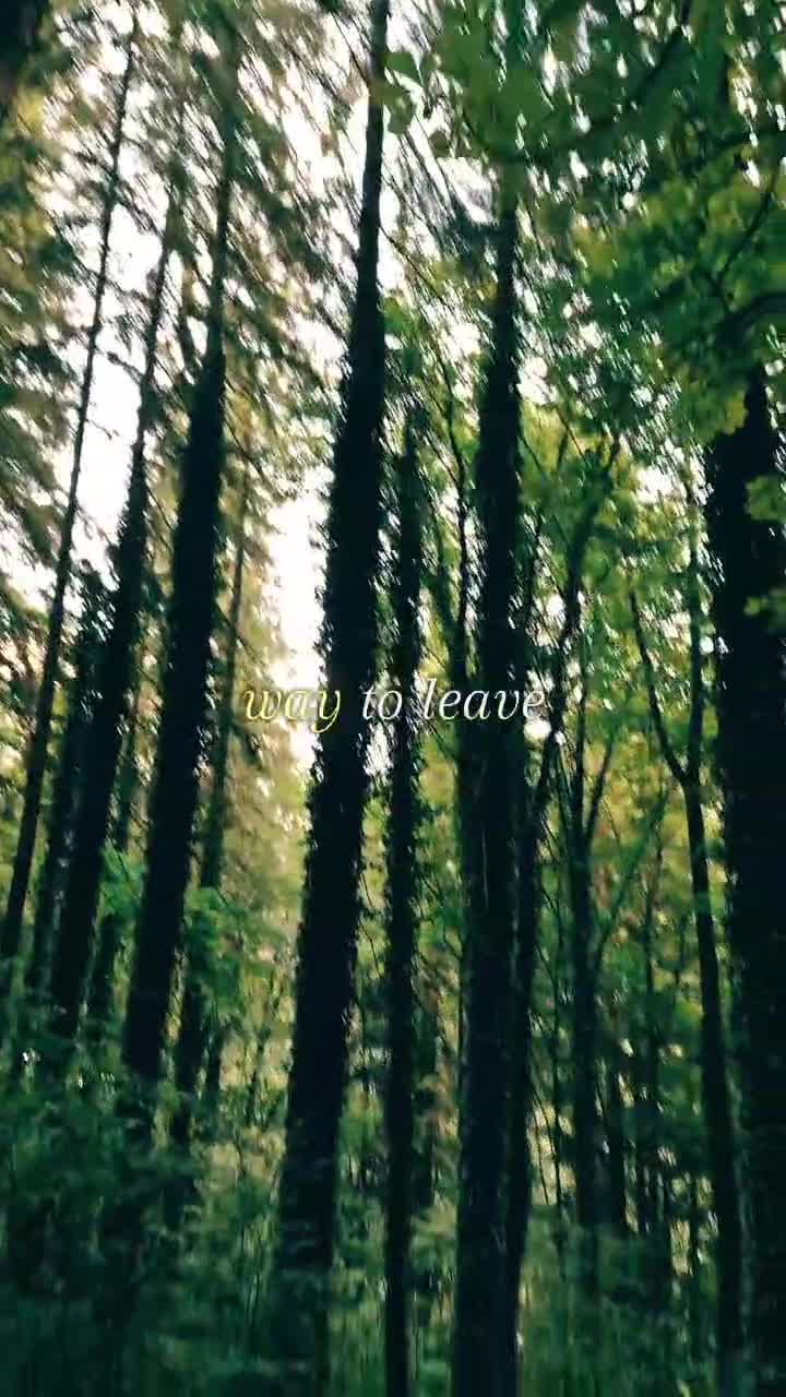 🦋 
 #❤️💙