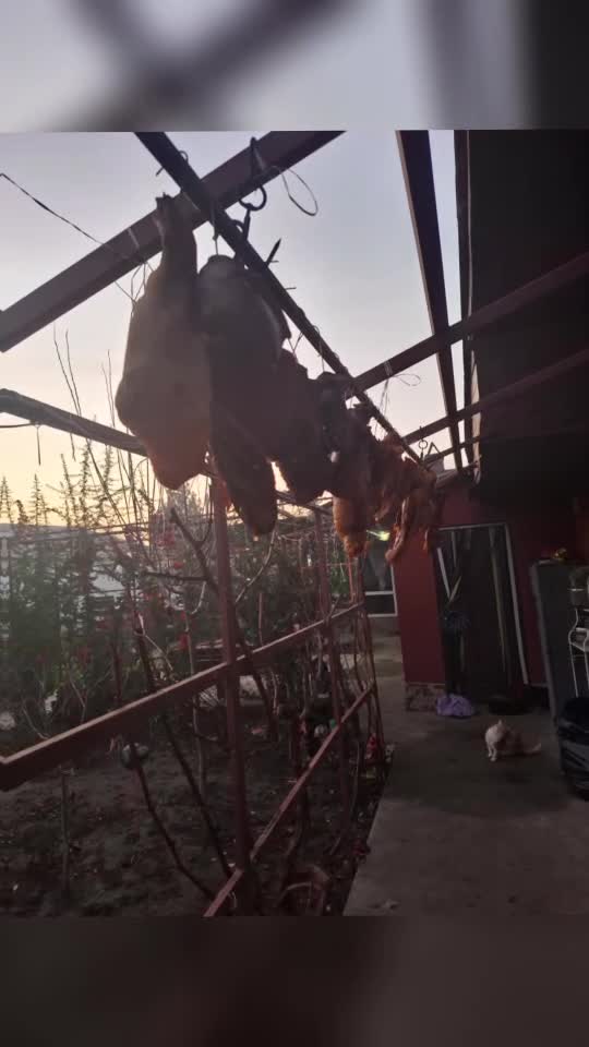 Prea bun, prea ca la țară!👏