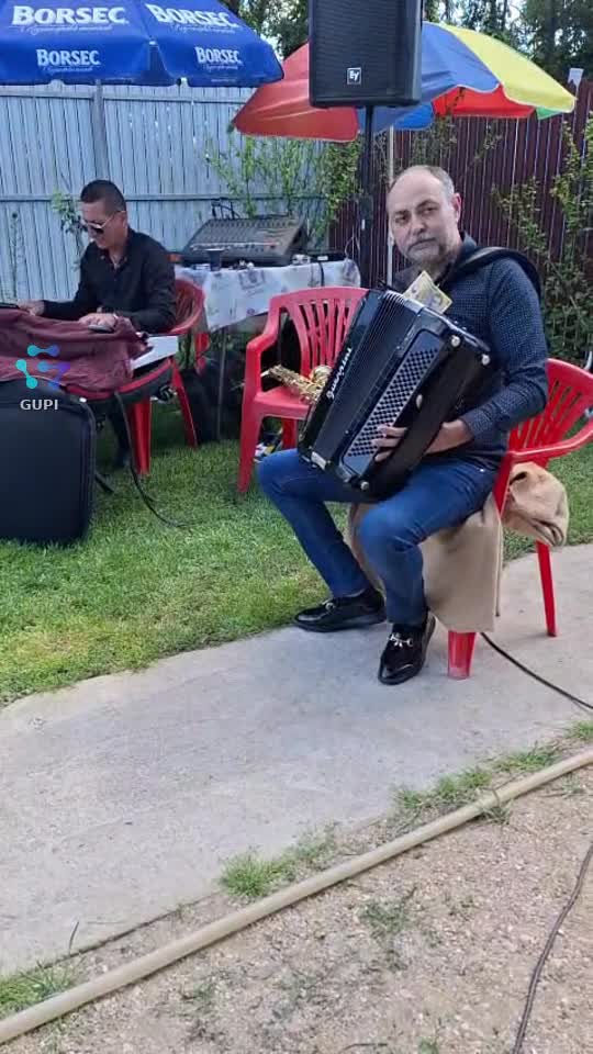 Ciocarlia la acordeon