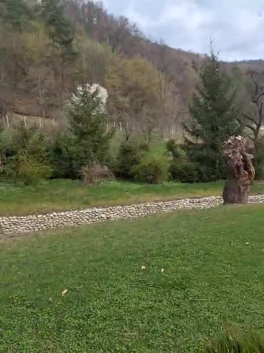 Prislop