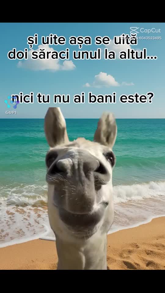 🤣🤣🤣🤣🤣